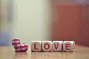 561865_283980451693247_273779206046705_629264_1362140123_n